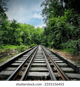 A scenic view of railroad tracks stretching through a lush, green forest, creating a sense of depth and leading the eye into the distance. The wooden planks and steel rails contrast beautifully - Powered by Shutterstock