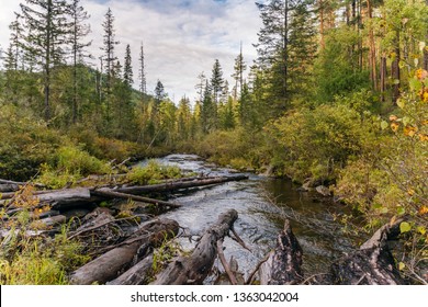 Scenic view of the river in the autumn Siberian taiga, the Baikal region, Irkutsk region, Russia - Shutterstock ID 1363042004