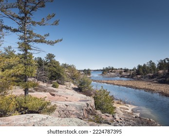 Scenic view of river flowing by trees and rock formations against clear blue sky in forest during sunny day