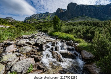 A Scenic View Of Rocky Mountain Creek In High Tatras Mountain Range In Slovakia