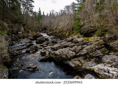 Scenic view of a rocky riverbed surrounded by dense forest in early spring, showcasing the natural beauty of the wilderness. - Powered by Shutterstock