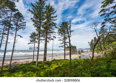 scenic view in Ruby beach on summer.Olympic national park,Washington,Usa.