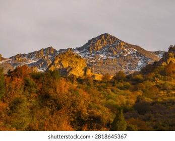 Scenic view of a rugged mountain range in Kyrgyzstan illuminated by golden light. Vibrant autumn foliage in reds, oranges, and yellows contrasts with snow-dusted peaks.