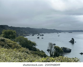 A scenic view of the rugged west coast, featuring rock formations scattered along the shoreline under an overcast sky. The coastal vegetation and misty atmosphere create a tranquil and moody landscape - Powered by Shutterstock