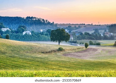 Scenic view of a rural landscape with rolling hills, a solitary tree, and houses in the distance during sunset. - Powered by Shutterstock