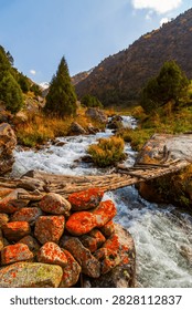Scenic view of a rustic log bridge spanning a fast-flowing mountain stream. Surrounding landscape features rocky slopes, evergreen trees, and autumn foliage under a clear blue sky.