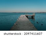 A scenic view of seagulls on a dock in Lake Mendota, Wisconsin