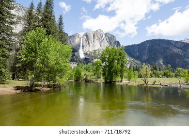 Swinging Bridge Picnic Area Images Stock Photos Vectors