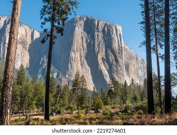 Scenic view of the sheer granite cliff of the famous El Capitan, in Yosemite Valley of Yosemite National Park in the Sierra Nevada Mountains of California.  - Shutterstock ID 2219274601