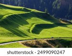 Scenic view small car drive countryside farm road green lush grass meadow mountain road alpine Austria on sunrise morning. Panoramic Alps grassland forest pasture path. Family car nature journey trip