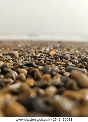 Similar – Stone beach in Brighton, England