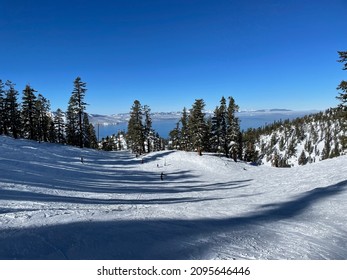 Scenic View Of Snow Covered Trees And Lake Tahoe From A Ski Resort On A Bluebird Winter Day