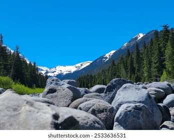 A scenic view of snow-capped Mountain Rainier and evergreen forest with rocks in the foreground under a clear blue sky. - Powered by Shutterstock