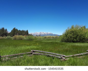 Scenic View In South Lake Tahoe During Summer