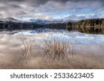 A scenic view of Stella Lake surrounded by trees near Campbell River, Canada