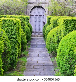 Scenic View of a Stone Paved Topiary Lined Garden Path Leading to an Old Oak Doorway