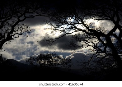 Scenic view of storm clouds with silhouetted trees in foreground. - Powered by Shutterstock