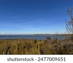 Scenic view at Sydney Harbor National Park, NSW