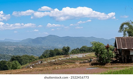 scenic view of terraced rice paddies in a rural setting, with a traditional house and mountains in the background. - Powered by Shutterstock