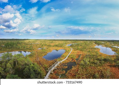 A scenic view from the top to the Kemeri bog. A wooden footbridge that takes you deep into the bog. Endless emptiness. Moorland landscape. Latvia.