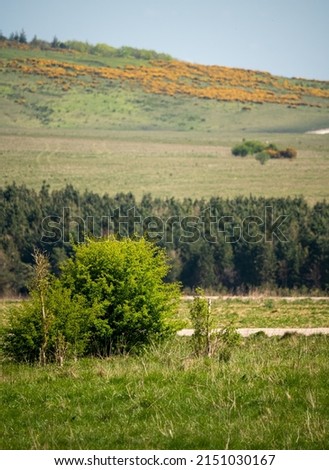A scenic view toward a tump, Sidbury Hill on Salisbury Plain