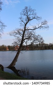 Scenic View Of Tree Sillhouette In Lake