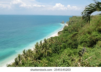 Scenic view of a tropical coastline with turquoise blue waters, lush greenery, and palm trees, showcasing natural beauty. - Powered by Shutterstock