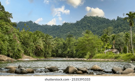 Scenic view of a tropical forest and river, surrounded by lush greenery, palm trees, and distant hills under a bright blue sky. serene natural view in an Indonesian rainforest - Powered by Shutterstock