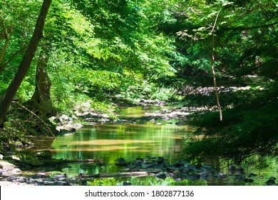 A scenic view of Turkey Creek, located in the Shawnee State Park, Friendship, Ohio. - Shutterstock ID 1802877136