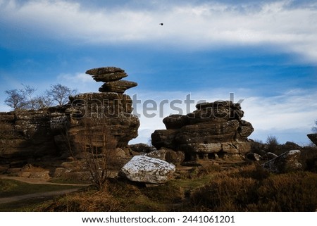 Scenic view of unique rock formations under a blue sky with a solitary bird flying overhead at Brimham Rocks, in North Yorkshire