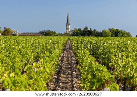 Scenic view of vineyard rows converging on a distant church in Saint Julien Beychevelle, France, showcasing the beauty of French wine country