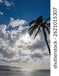 Scenic view of Waialua Bay with outrigger canoes paddeling along the coast of the island of Oahu, Hawaii, USA against backlight