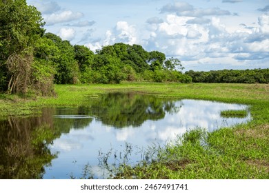 Scenic view of a water body in Casanare, Colombia with lush greenery - Powered by Shutterstock