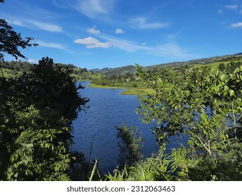 A scenic view of the water and sky just inside from the greenery. - Shutterstock ID 2312063463