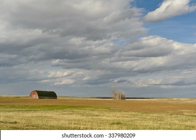 scenic view of wheat field and barn in Mankota country, Saskatchewan