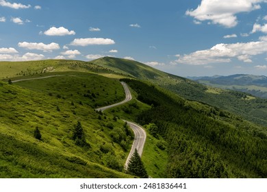 Scenic view of a winding mountain road passing through a vibrant green landscape under a summer sky - Powered by Shutterstock