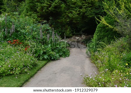 Scenic View of a Winding Path through a Beautiful Garden