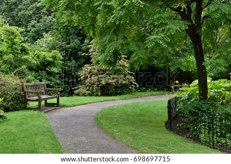 Scenic View of a Winding Path through a Beautiful Green Garden