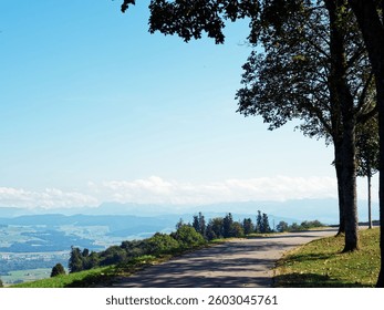 Scenic view of a winding road flanked by trees with a distant mountain range under a clear blue sky.