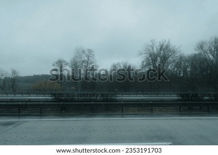 A scenic view of a winding road with trees on either side of the road, illuminated by the dreary rain