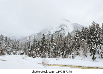 Scenic view of winter landscape with snow covered trees and mountain river in Alps, Slovenia. Beauty of nature concept background.
