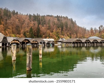 Scenic view of wooden boathouses on a calm lake Konigssee surrounded by autumn trees. - Powered by Shutterstock