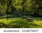 scenic view of wooden picnic tables amidst trees. Tranquil scene of picnic area. 