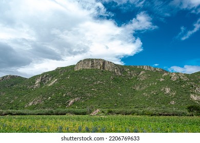 Scenic View Of The Yagul Natural Monument Of Oaxaca, Mexico