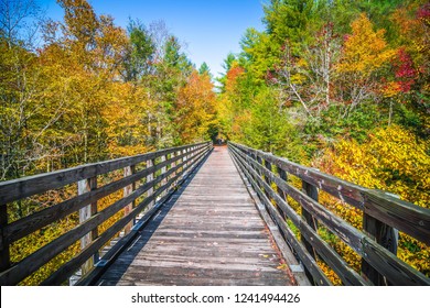 Scenic Views Along Virginia Creeper Trail