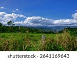 Scenic views of the Atherton Tablelands in Far North Queensland, Australia, Picture near Mungalli
