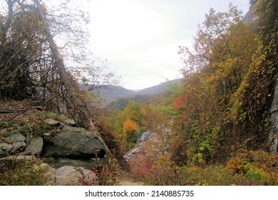 Scenic Views From Chimney Rock North Carolina