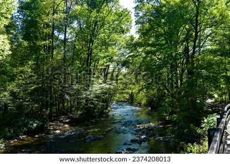 Scenic Views at Deep Creek Park in the Great Smoky Mountains, Bryson City, North Carolina