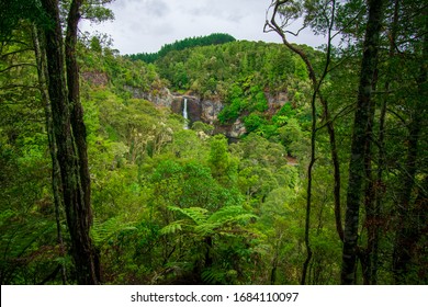 Scenic Views In Hunua Ranges, New Zealand