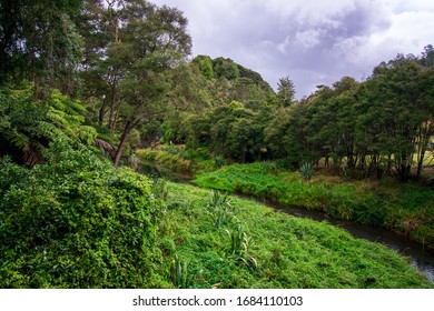 Scenic Views In Hunua Ranges, New Zealand